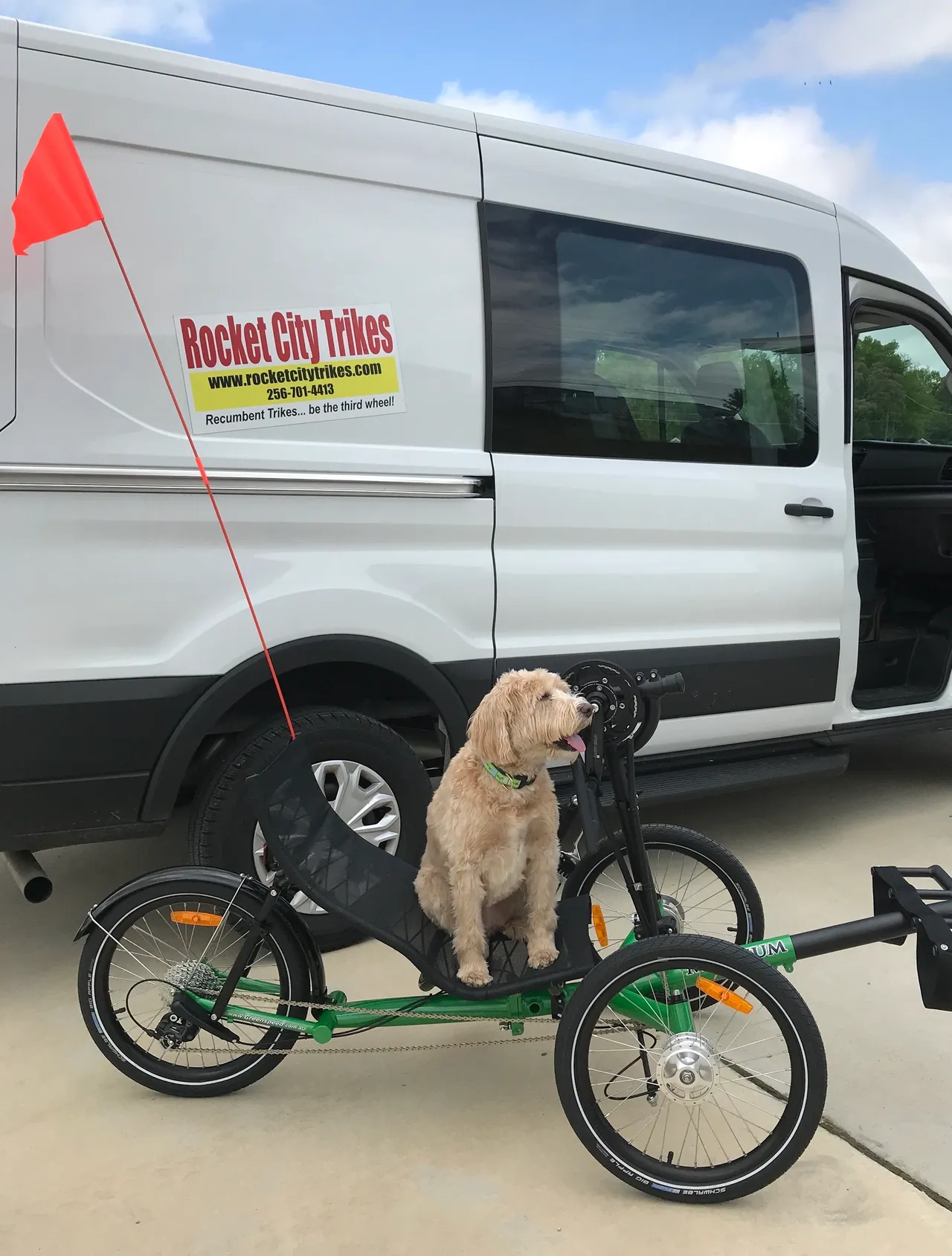 Ellie the Wonder Dog enjoying a Greenspeed trike